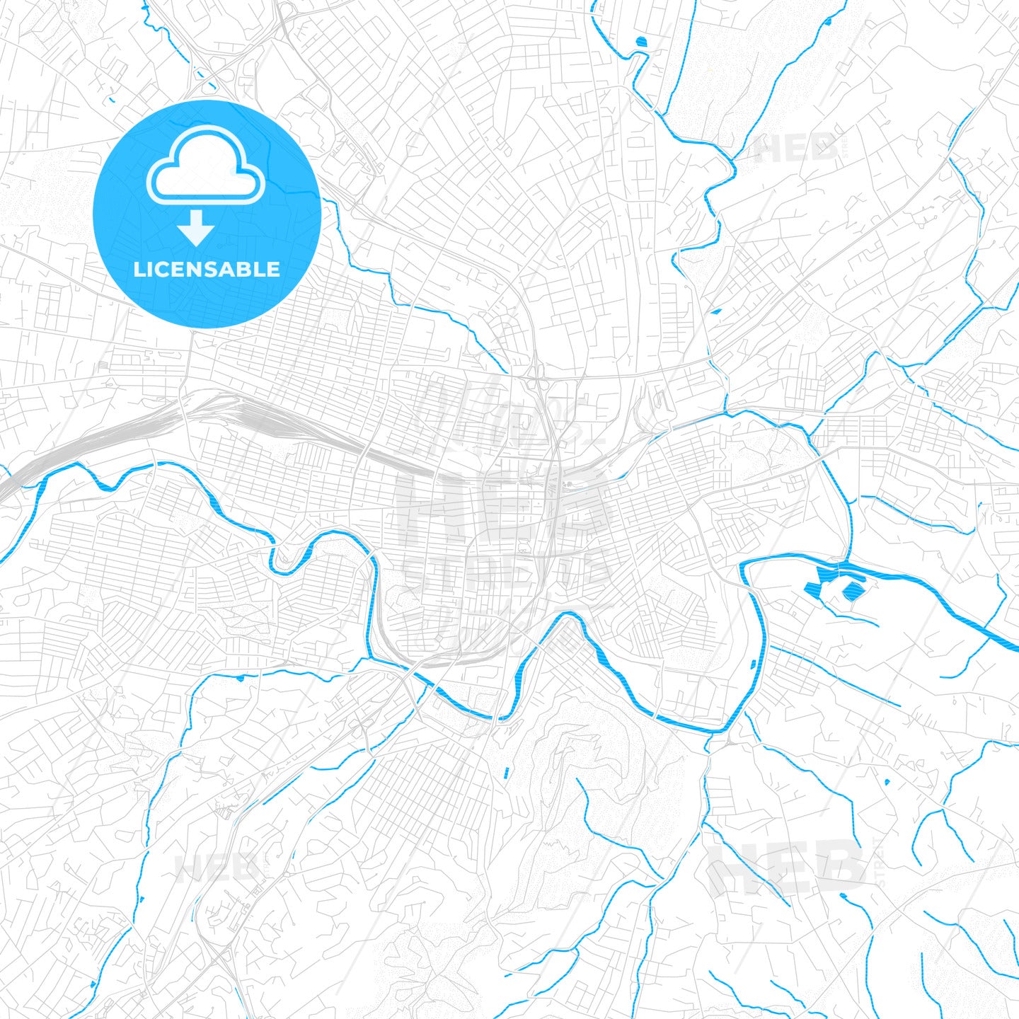 Roanoke, Virginia, United States, PDF vector map with water in focus