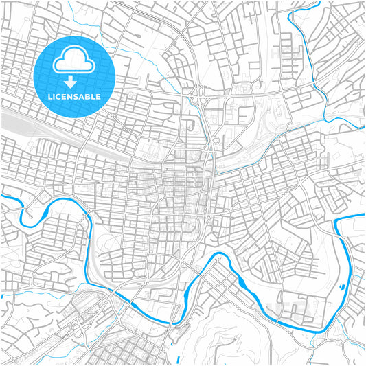 Roanoke, Virginia, United States, city map with high quality roads.