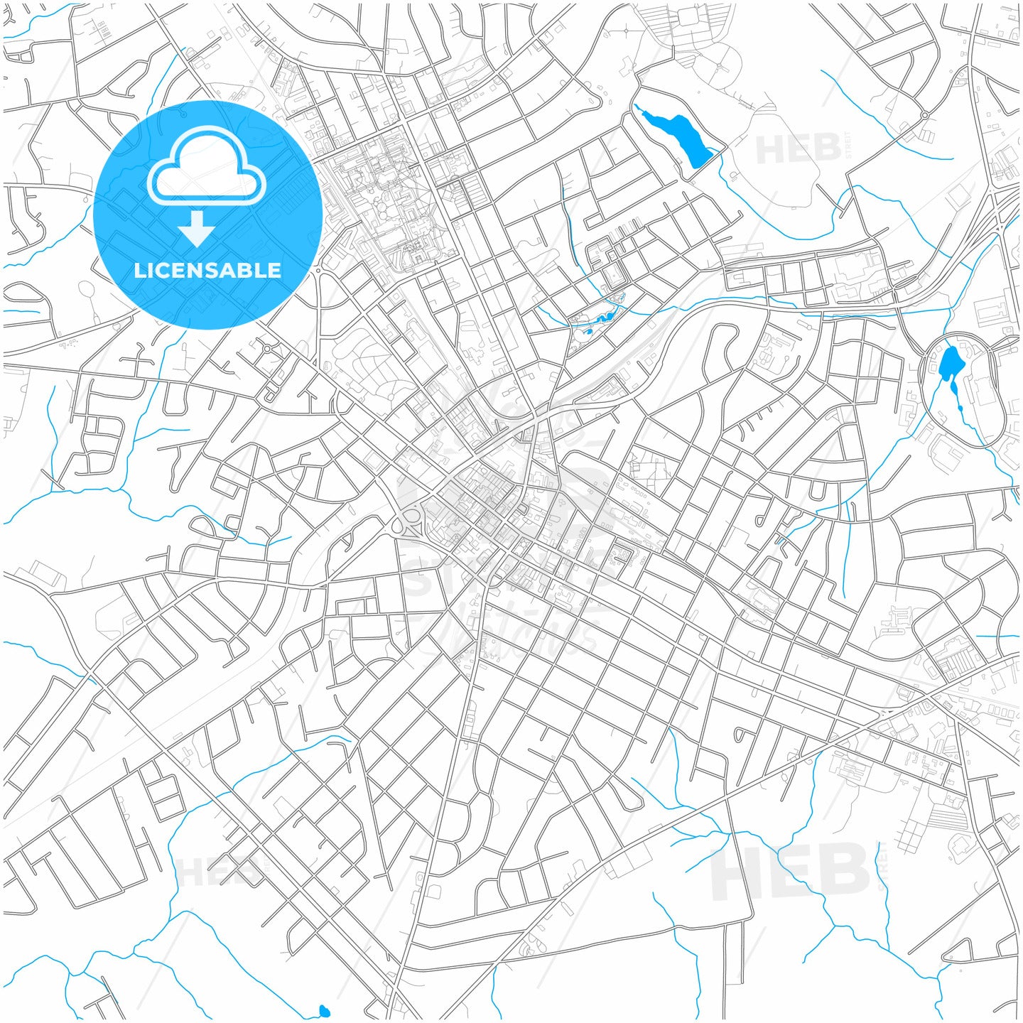 Rock Hill, South Carolina, United States, city map with high quality roads.