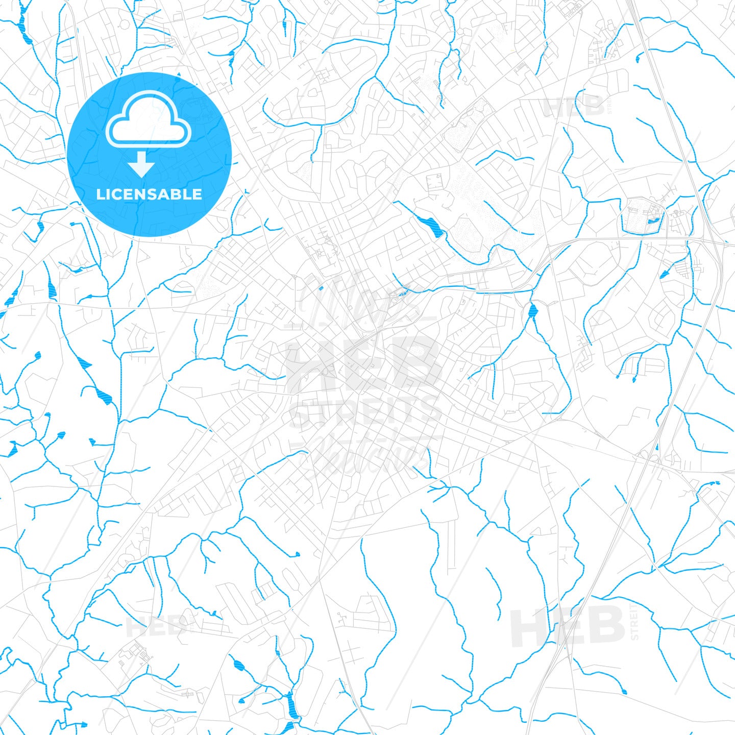Rock Hill, South Carolina, United States, PDF vector map with water in focus