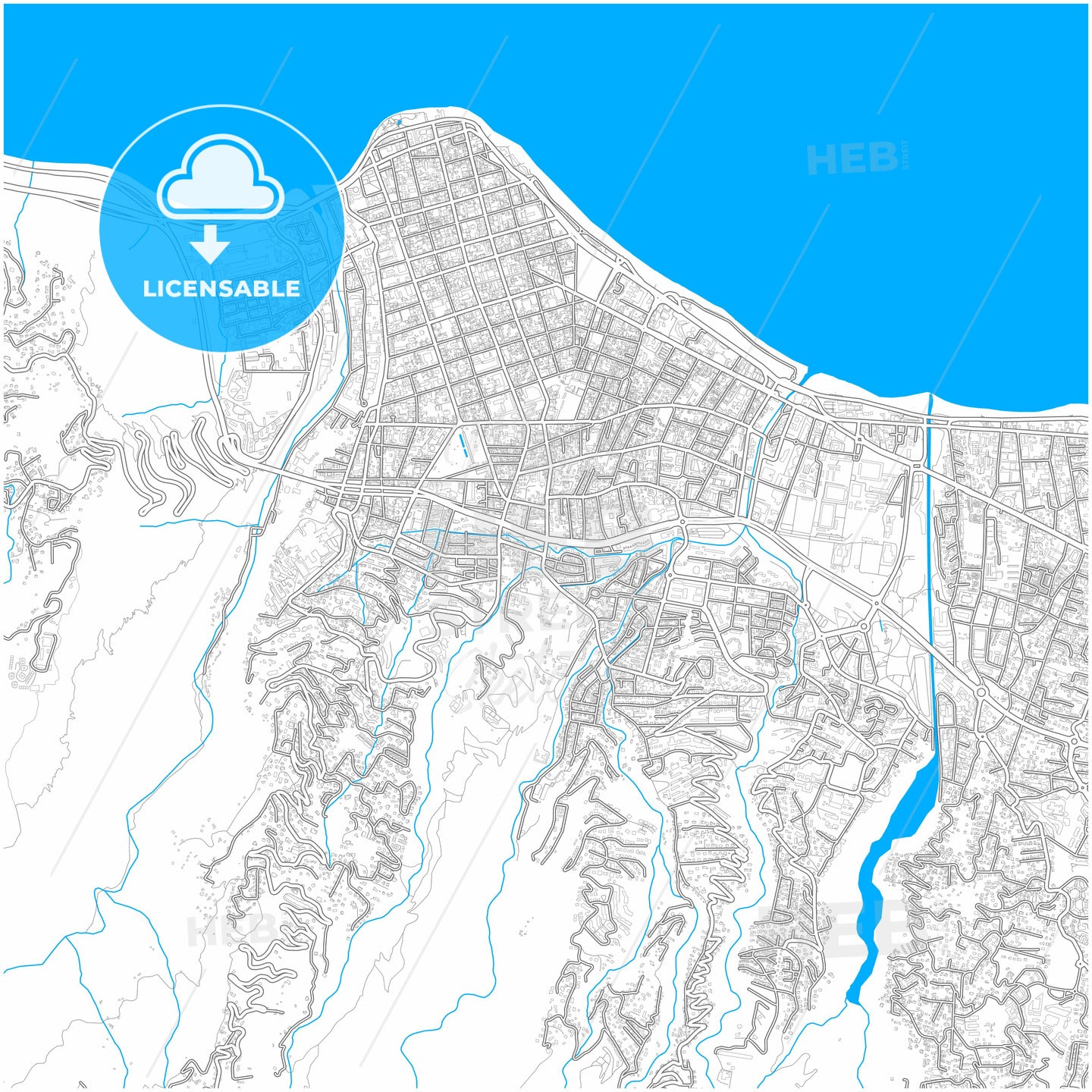 Saint-Denis, Réunion, France, city map with high quality roads.