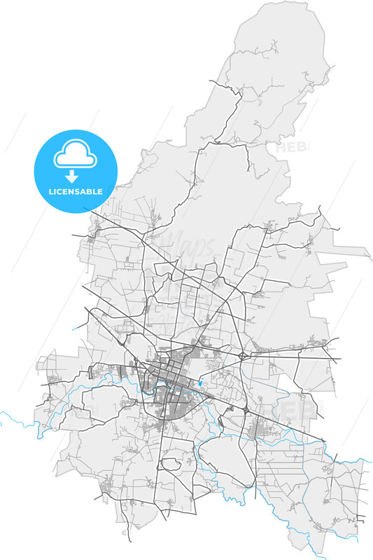 Salamanca, Guanajuato, Mexico, high quality vector map