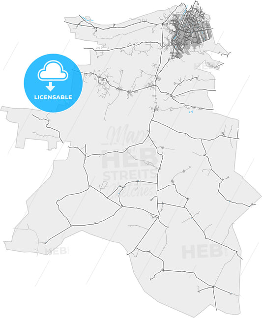 Saltillo, Coahuila, Mexico, high quality vector map