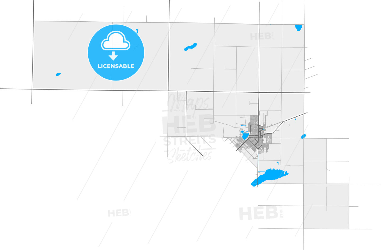 Santa Rosa, Argentina, high quality vector map