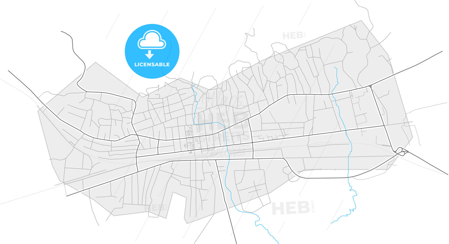 Senaki, Samegrelo-Zemo Svaneti, Georgia, high quality vector map