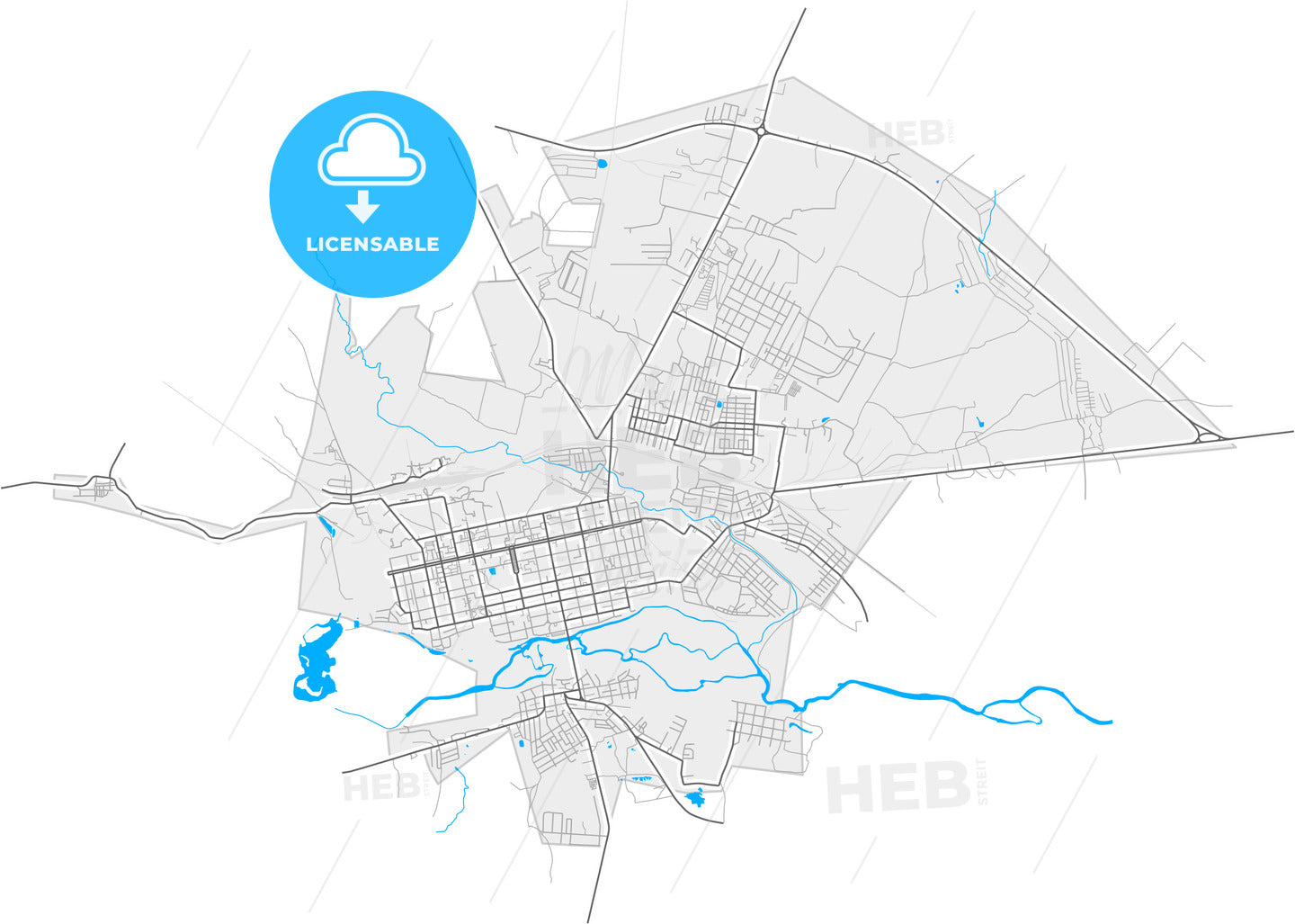 Shadrinsk, Kurgan Oblast, Russia, high quality vector map