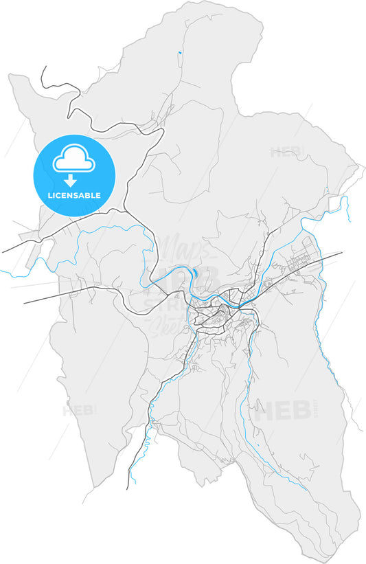 Sighișoara, Mureș, Romania, high quality vector map