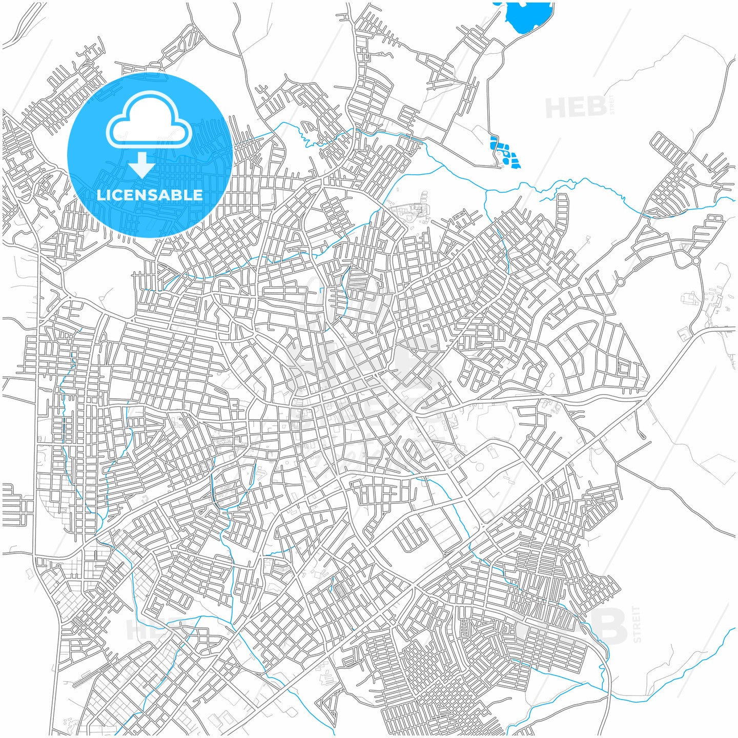 Sincelejo, Colombia, city map with high quality roads.