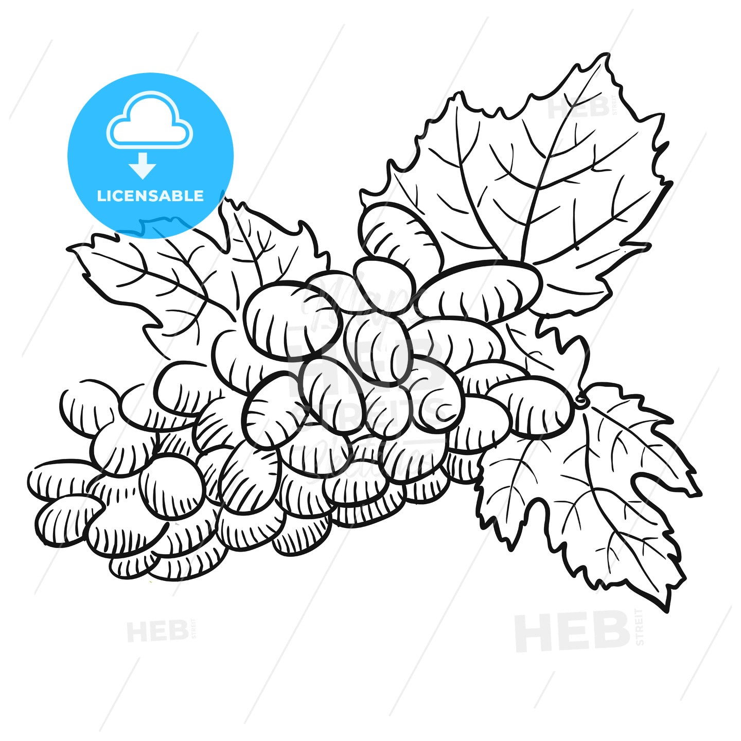Sketched Grapes with Leaves, Black and White – instant download