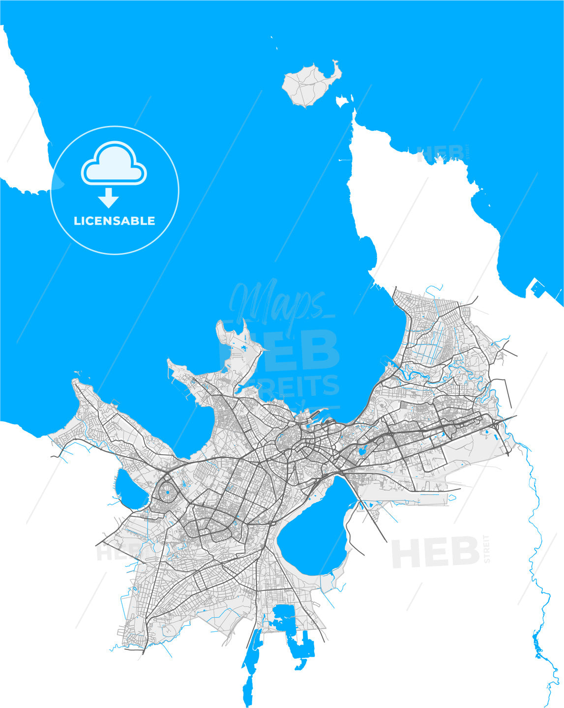 Tallinn, Harju, Estonia, high quality vector map