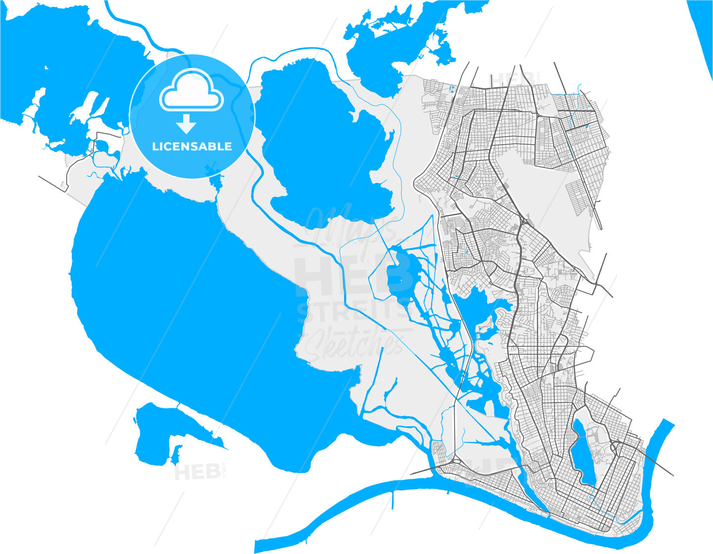 Tampico, Tamaulipas, Mexico, high quality vector map