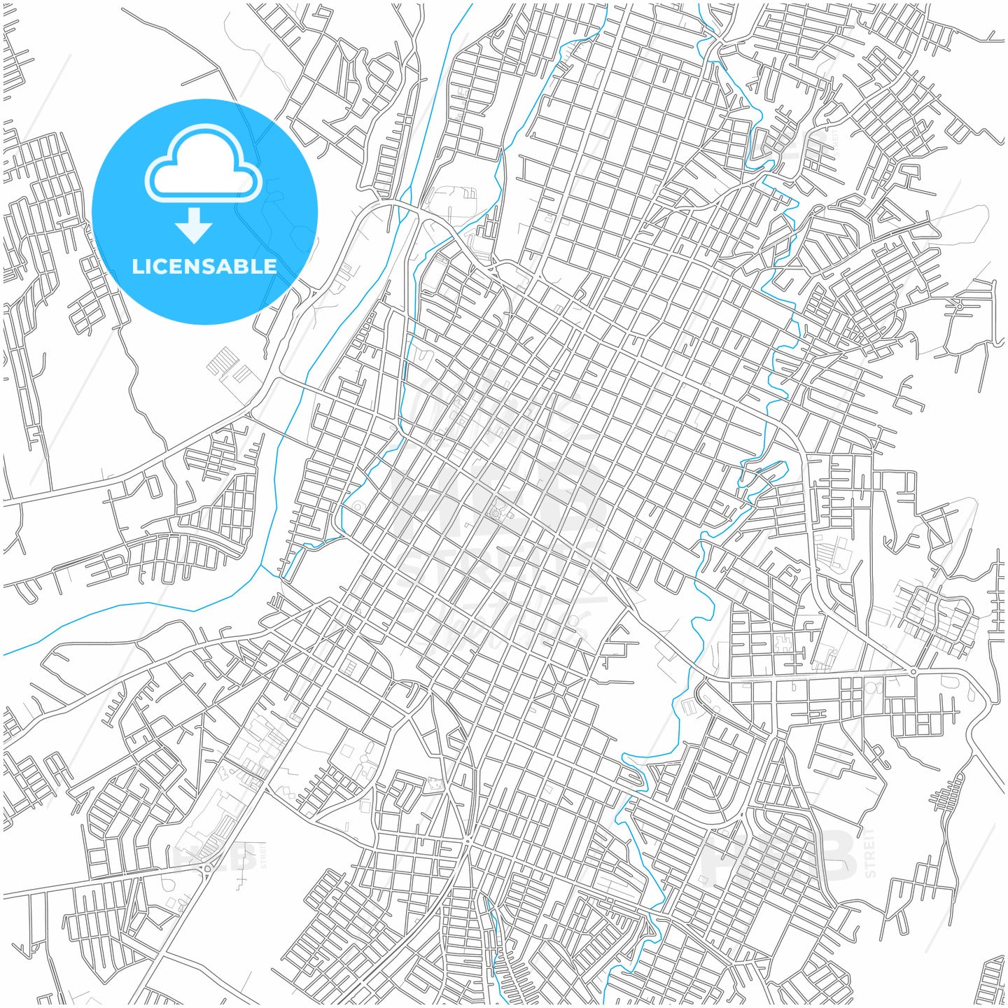 Tapachula, Chiapas, Mexico, city map with high quality roads.