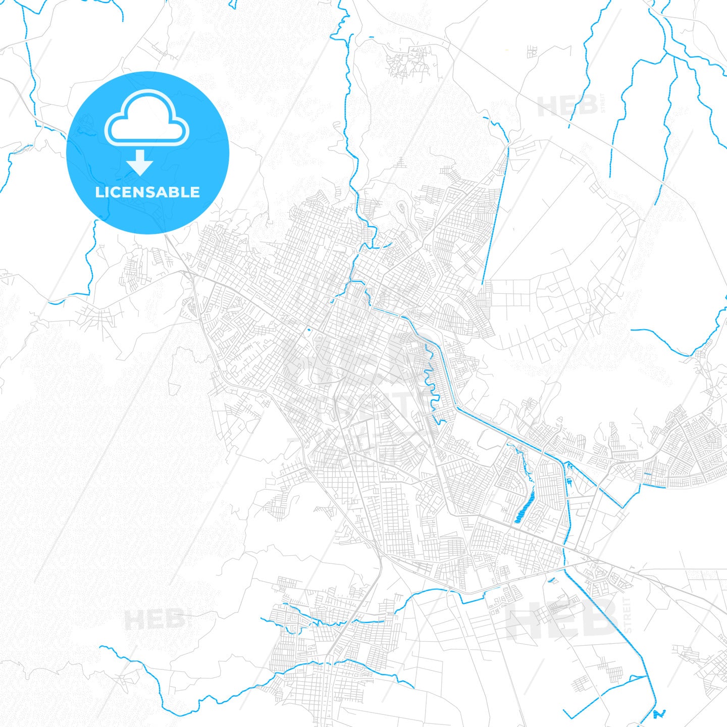 Tepic, Mexico PDF vector map with water in focus