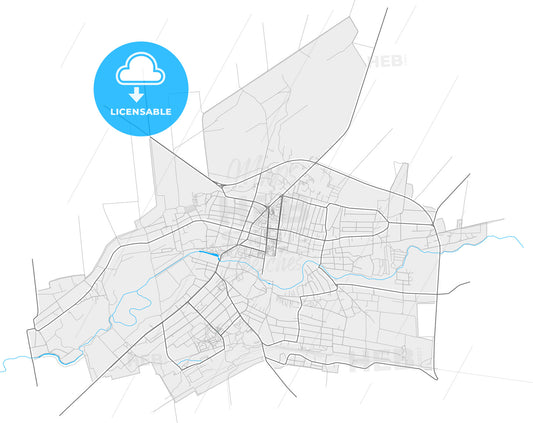 Tokmak, Zaporizhia Oblast, Ukraine, high quality vector map