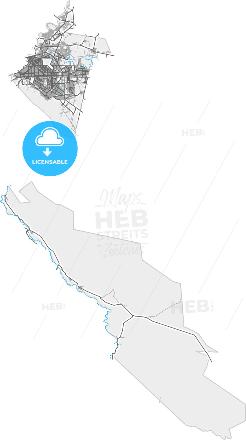 Torreón, Coahuila, Mexico, high quality vector map