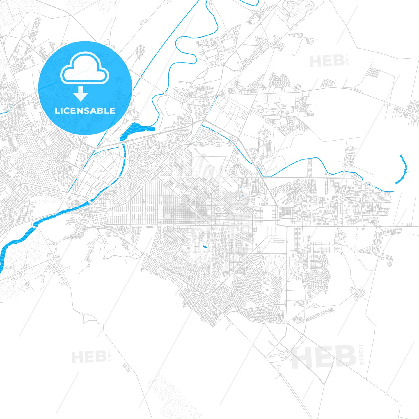 Torreón, Mexico PDF vector map with water in focus