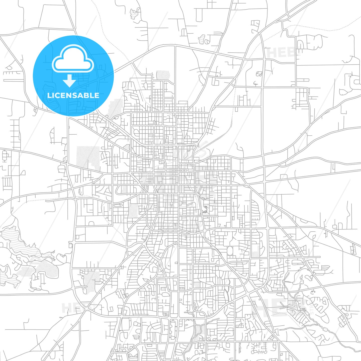 Tyler, Texas, USA, bright outlined vector map