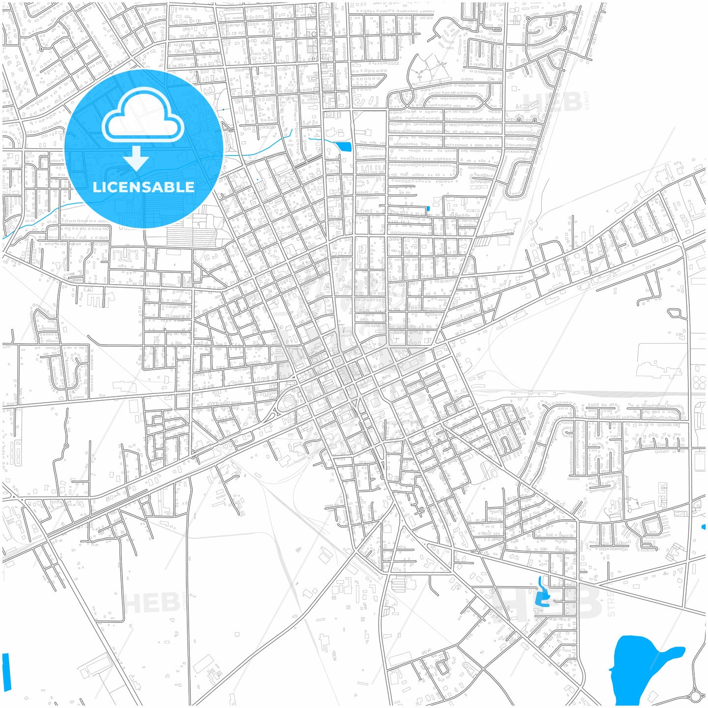 Valdosta, Georgia, United States, city map with high quality roads.