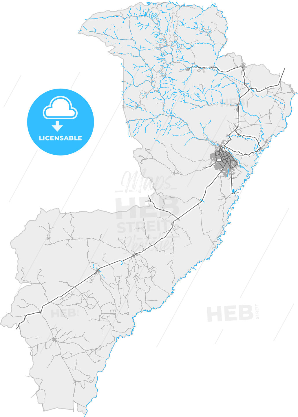 Valledupar, Colombia, high quality vector map
