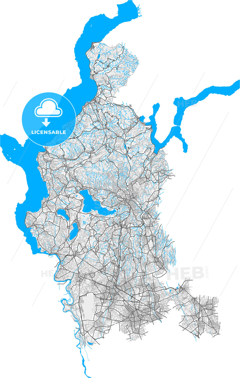 Varese, Lombardy, Italy, high quality vector map