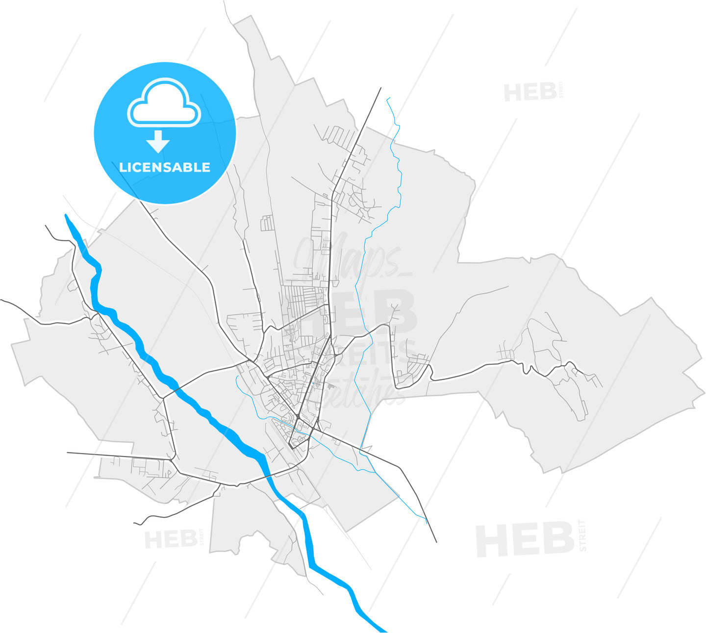 Vaslui, Vaslui, Romania, high quality vector map