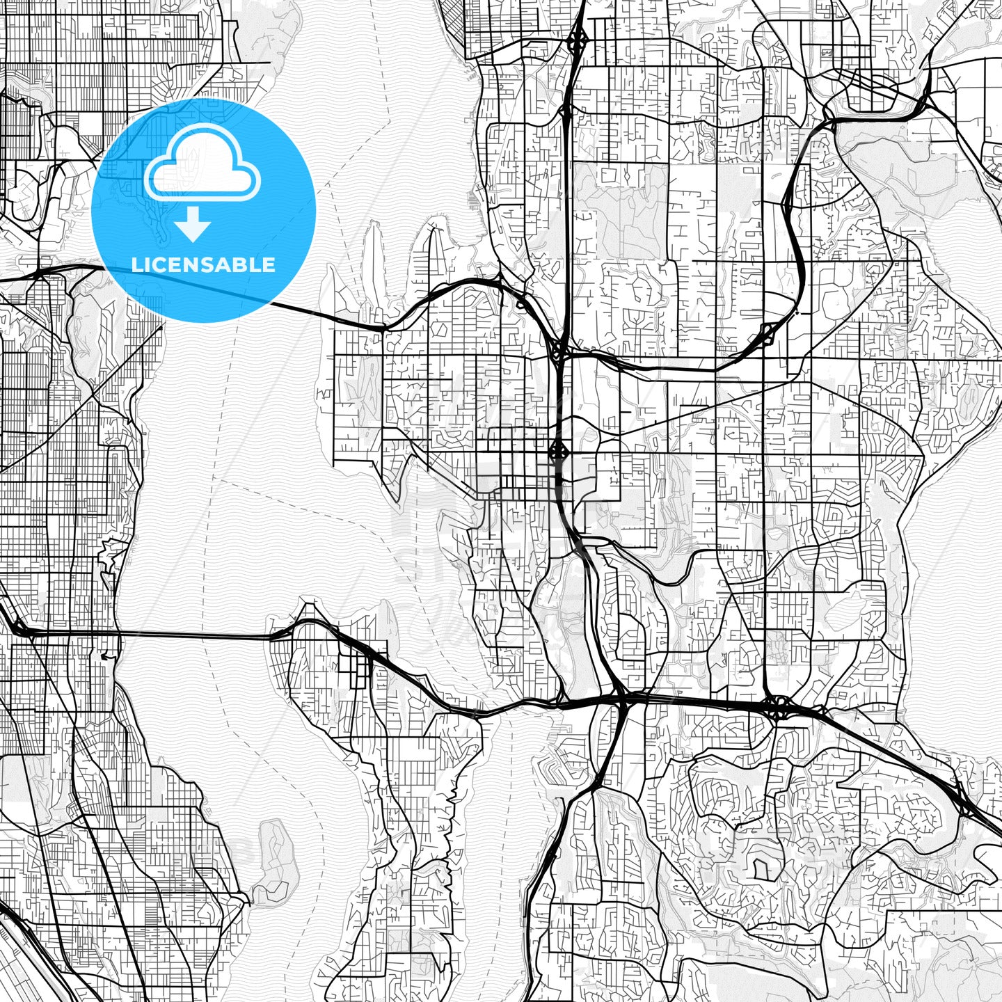 Vector PDF map of Bellevue, Washington, United States