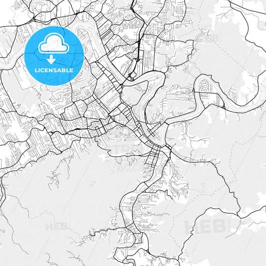 Vector PDF map of Blumenau, Brazil