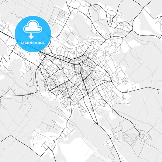 Vector PDF map of Botoșani, Romania