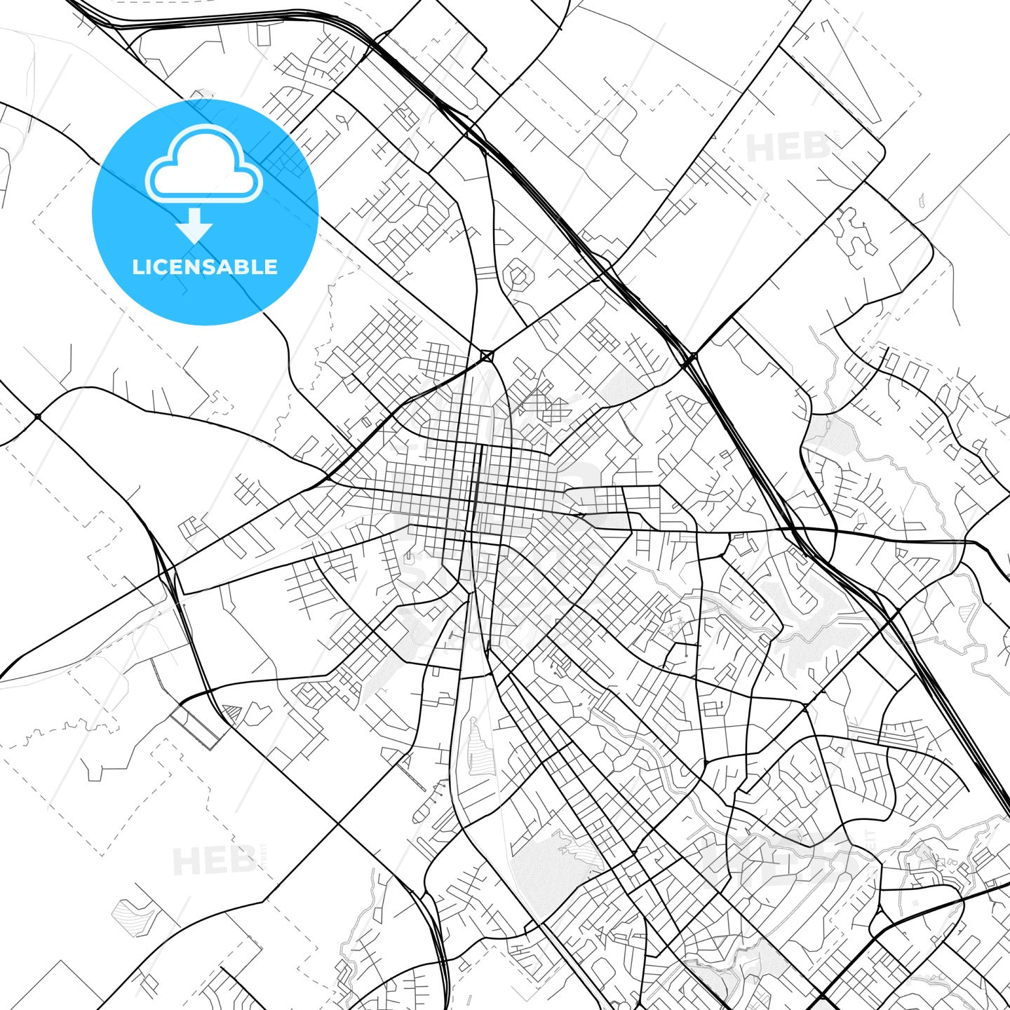 Vector PDF map of Bryan, Texas, United States