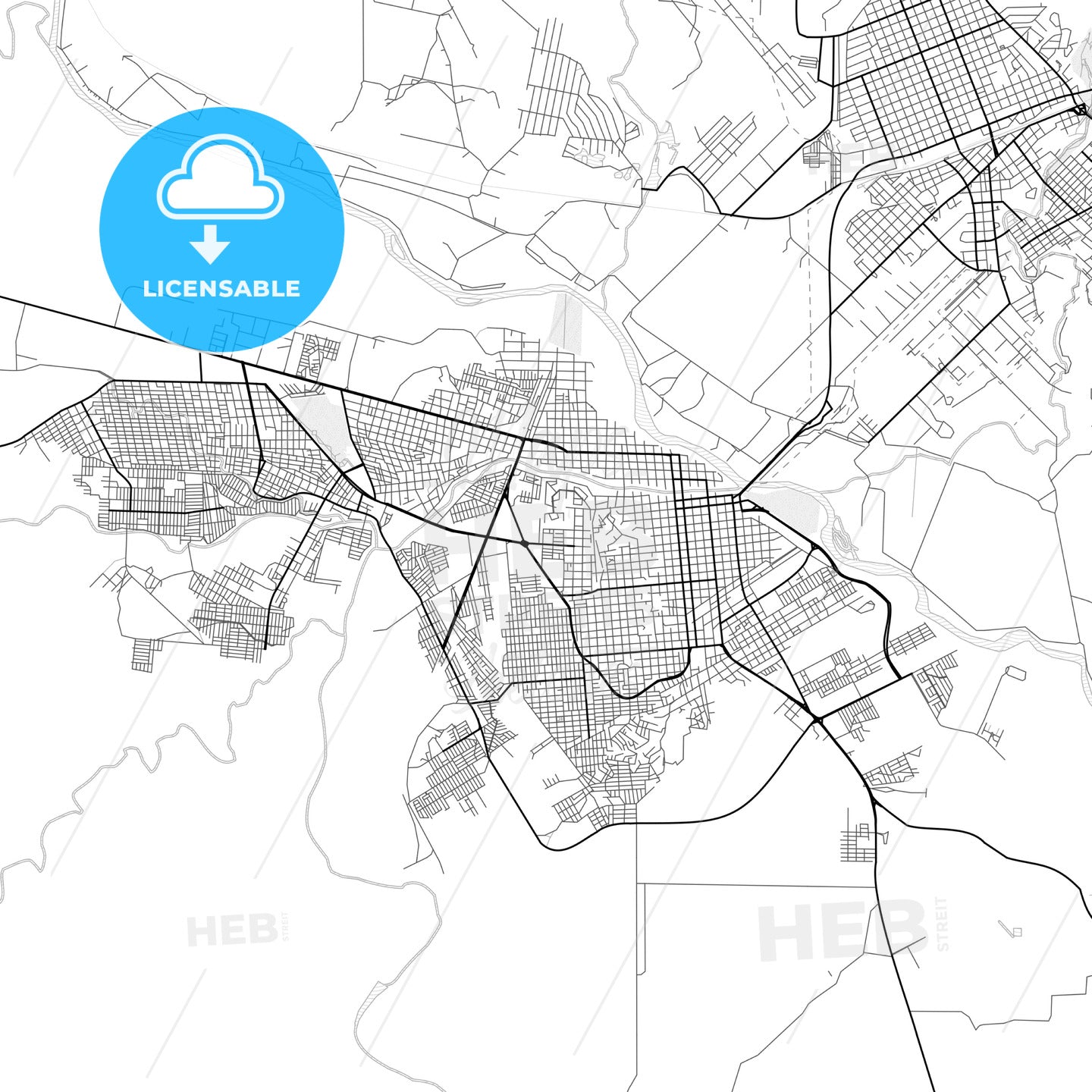 Vector PDF map of Ciudad Acuña, Mexico