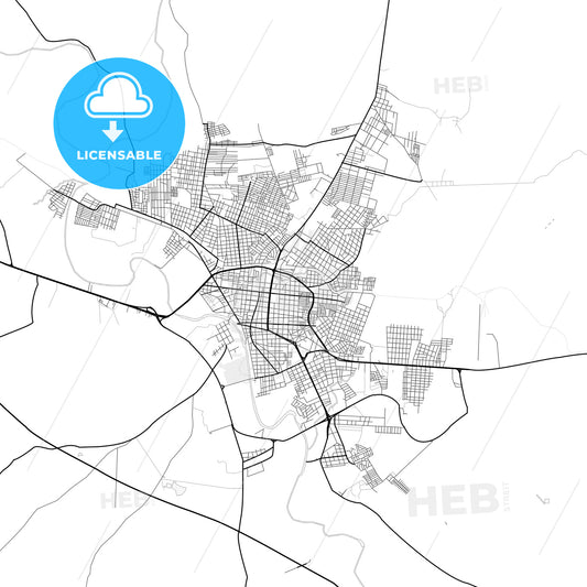 Vector PDF map of Ciudad Valles, Mexico