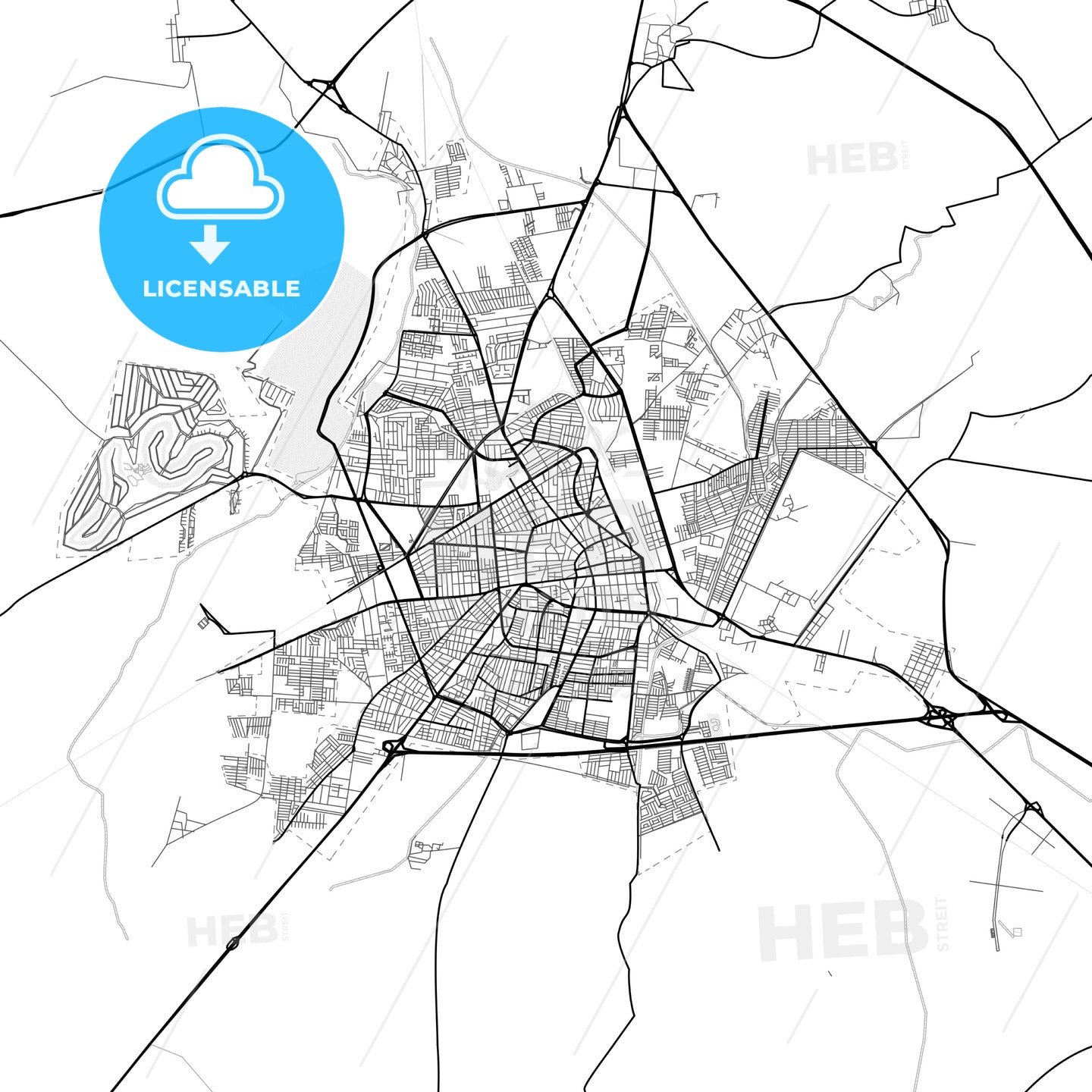 Vector PDF map of Irapuato, Mexico