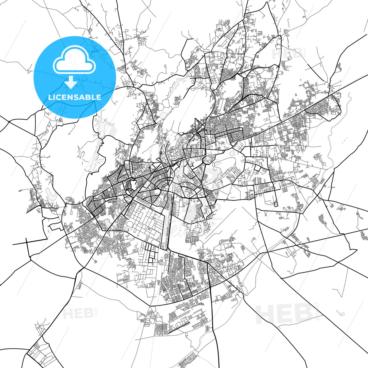 Vector PDF map of Jodhpur, India