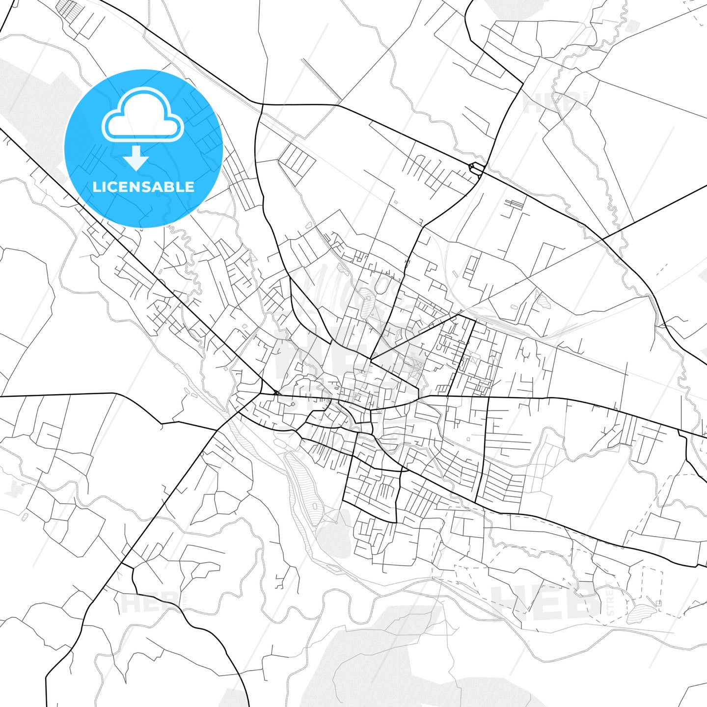 Vector PDF map of Kolomyia, Ukraine