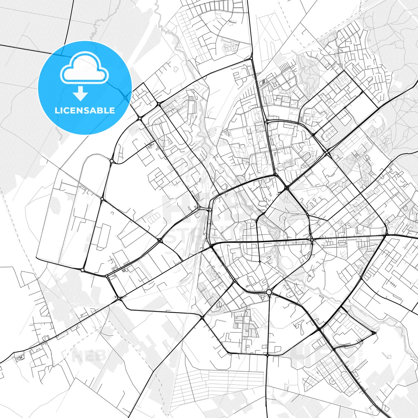 Vector PDF map of Koszalin, Poland