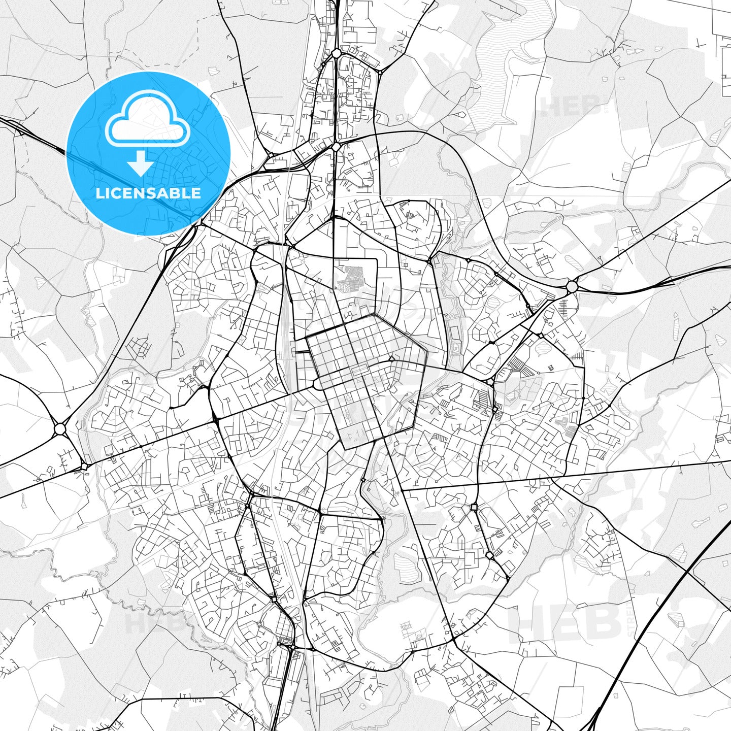 Vector PDF map of La Roche-sur-Yon, France