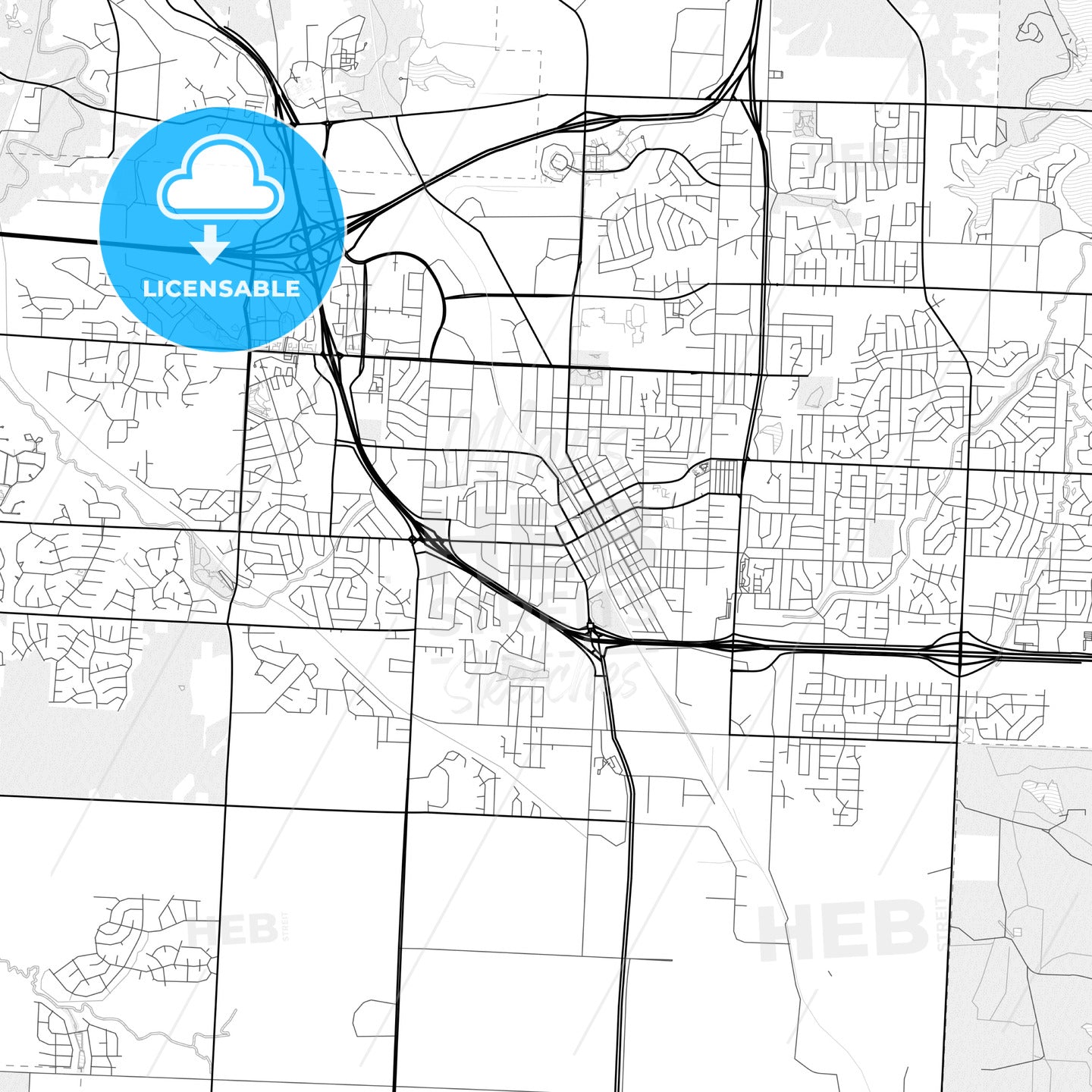 Vector PDF map of Lees Summit, Missouri, United States