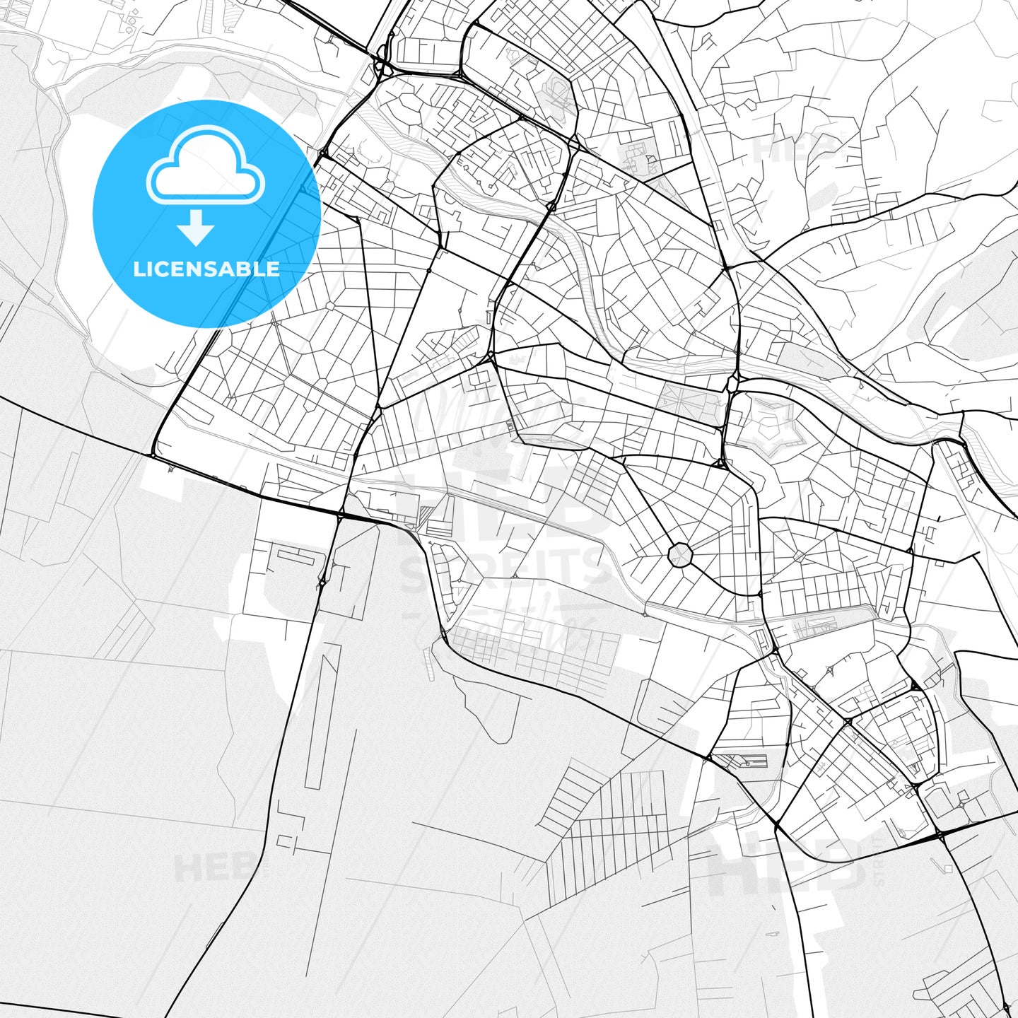 Vector PDF map of Oradea, Romania