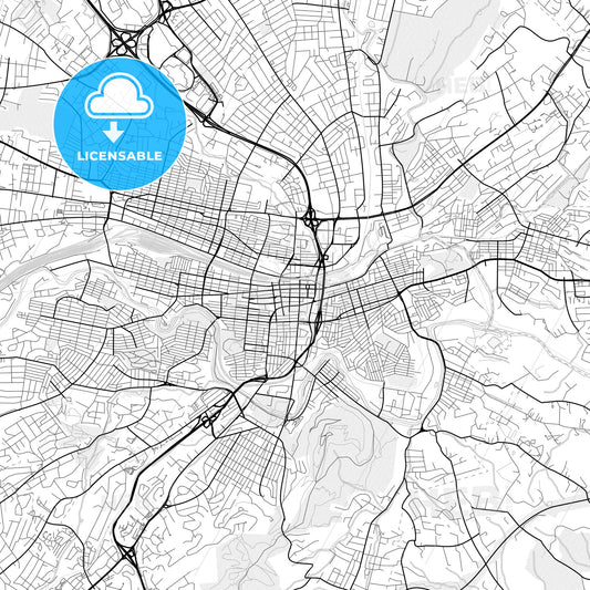 Vector PDF map of Roanoke, Virginia, United States