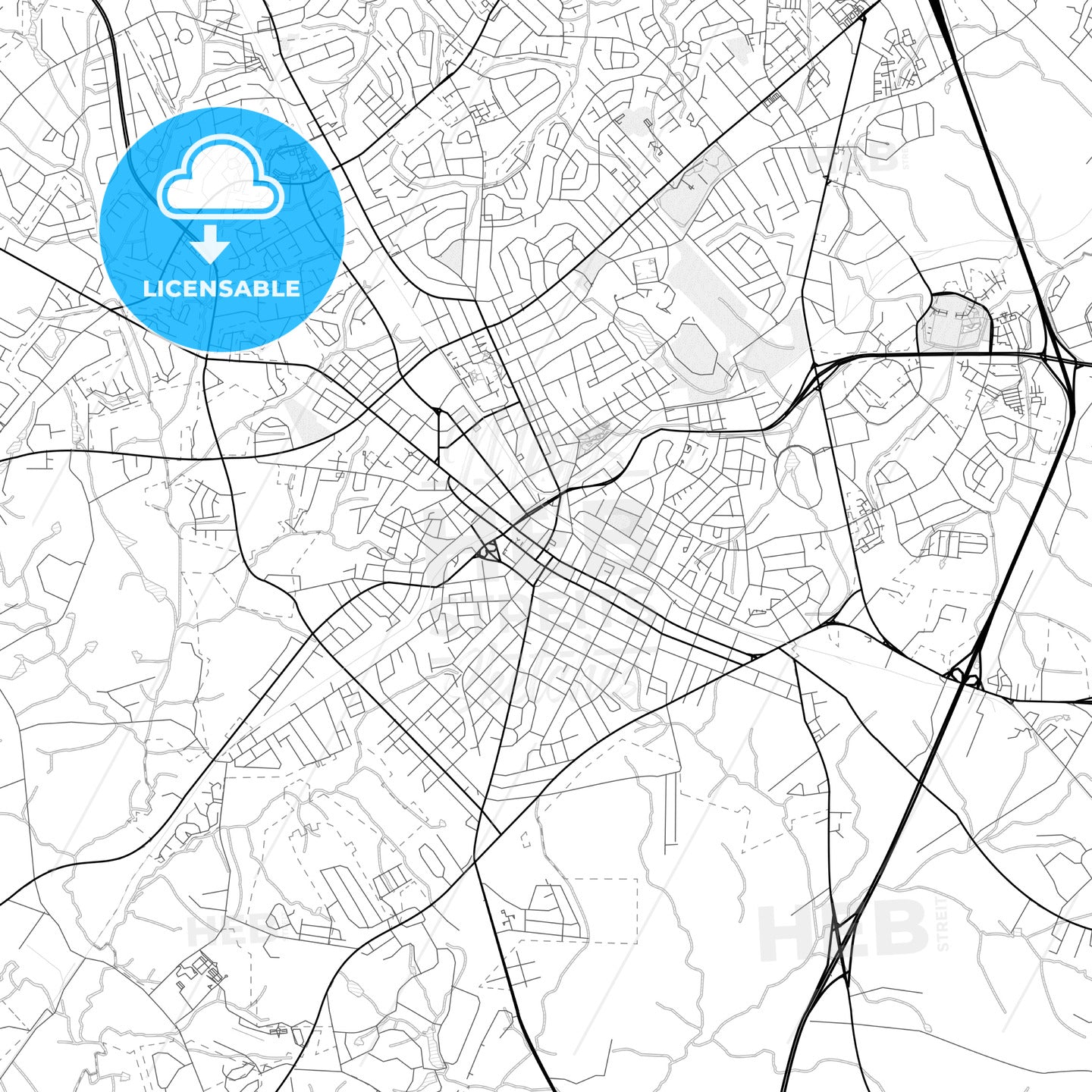 Vector PDF map of Rock Hill, South Carolina, United States