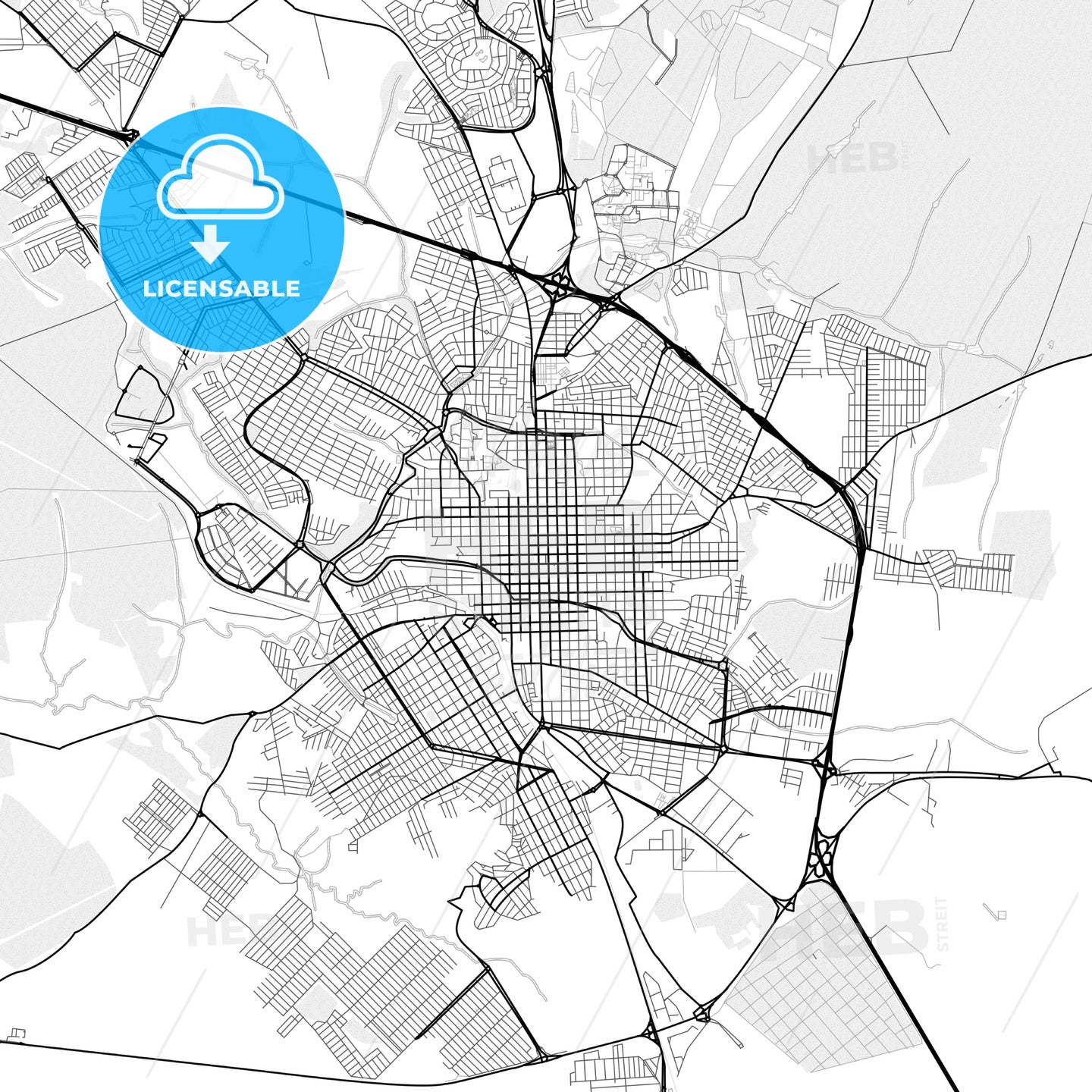 Vector PDF map of Sao Carlos, Brazil