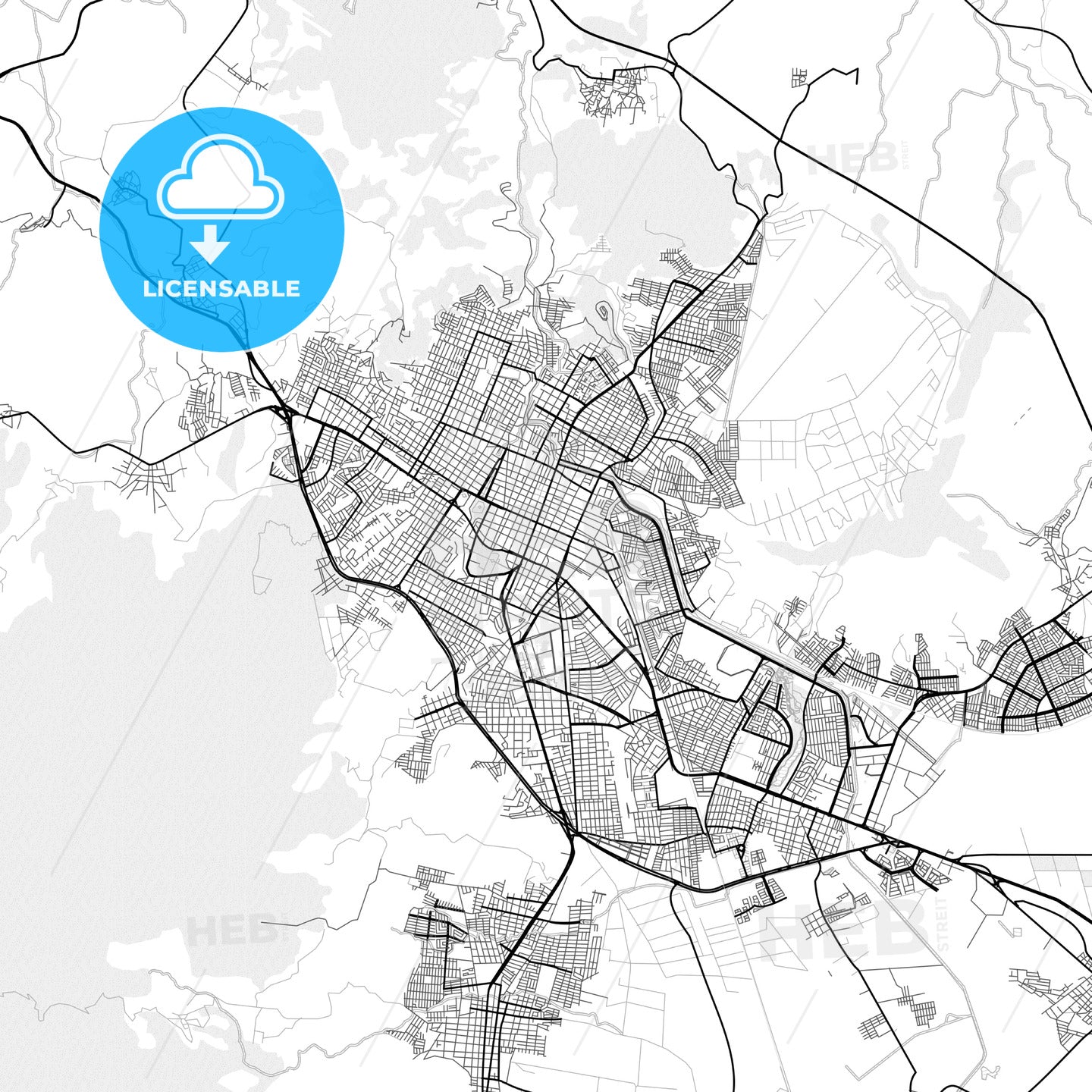 Vector PDF map of Tepic, Mexico