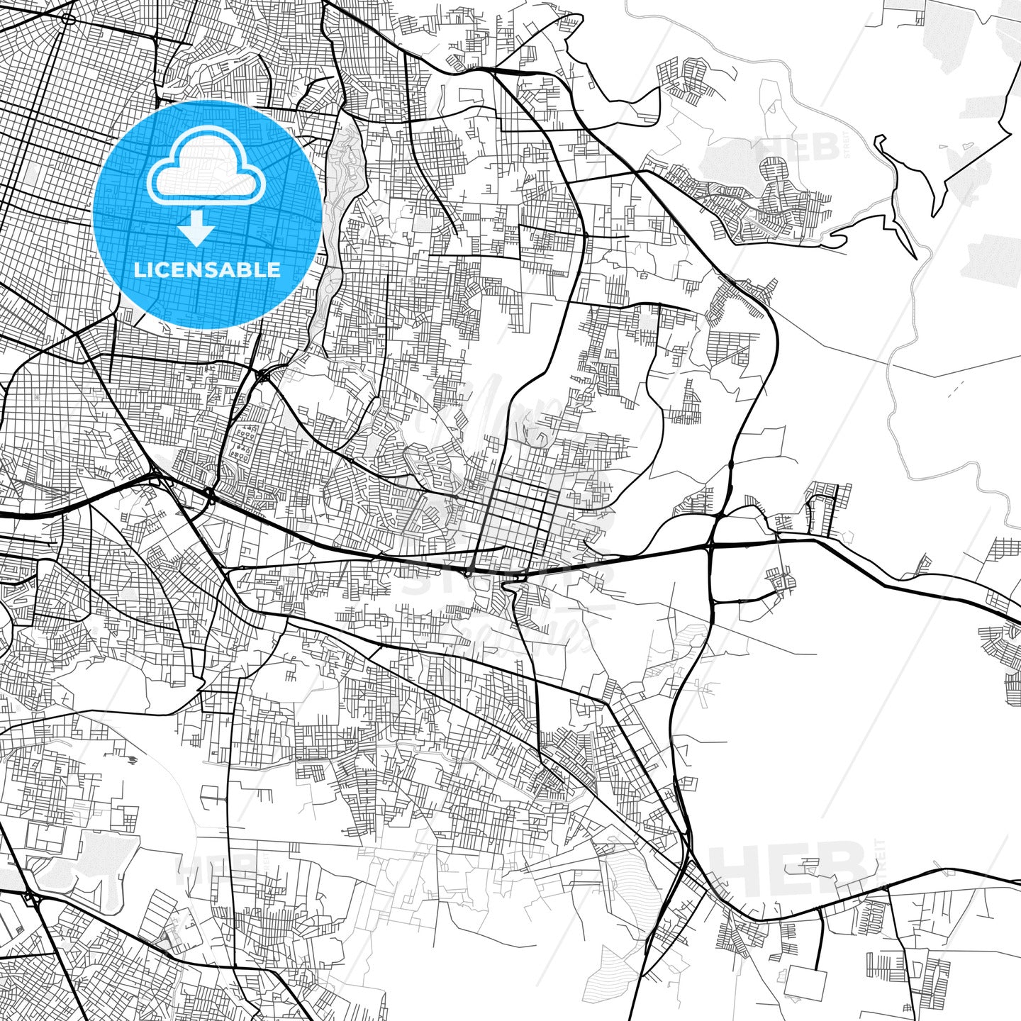 Vector PDF map of Tonalá, Mexico