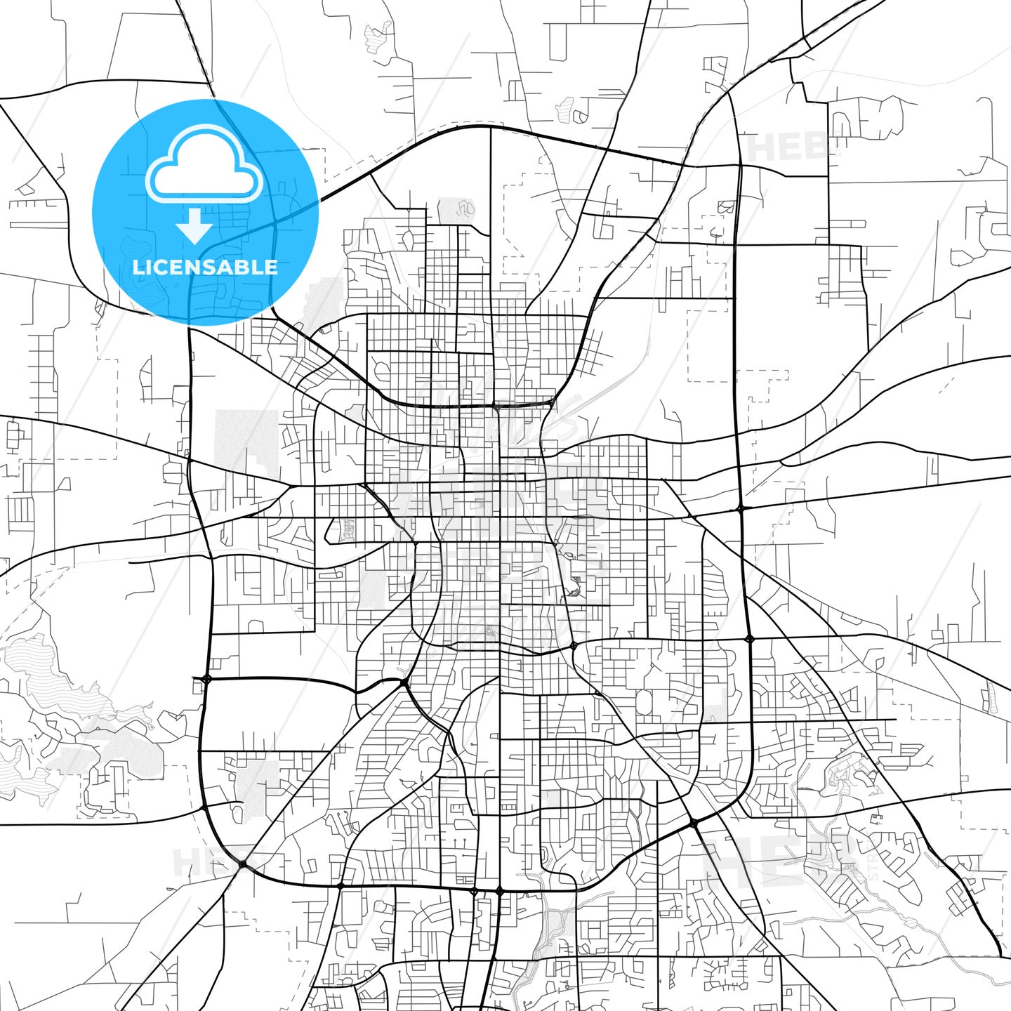 Vector PDF map of Tyler, Texas, United States