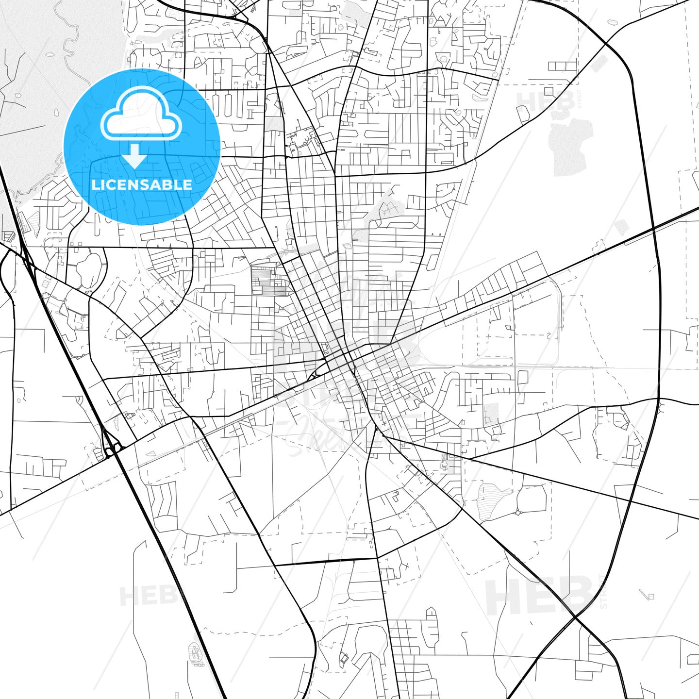 Vector PDF map of Valdosta, Georgia, United States