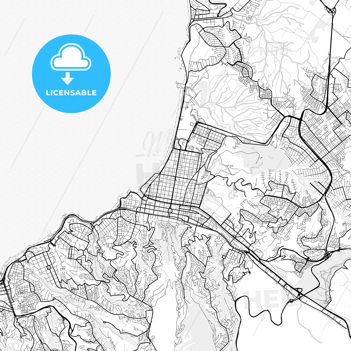 Vector PDF map of Vina del Mar, Chile