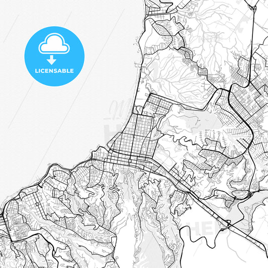 Vector PDF map of Vina del Mar, Chile