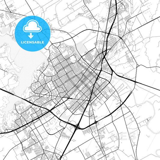 Vector PDF map of Waco, Texas, United States