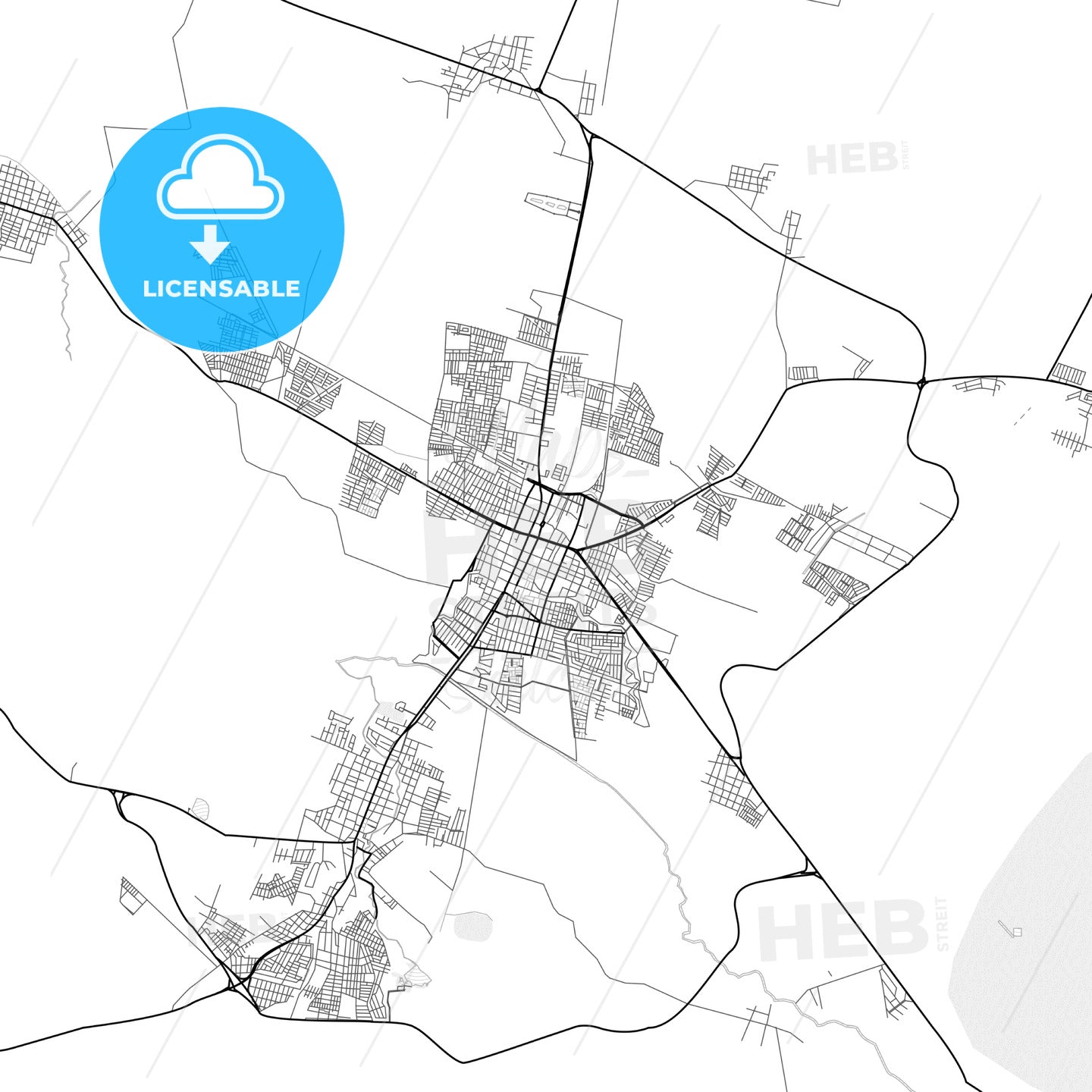 Vector PDF map of Zamora, Mexico