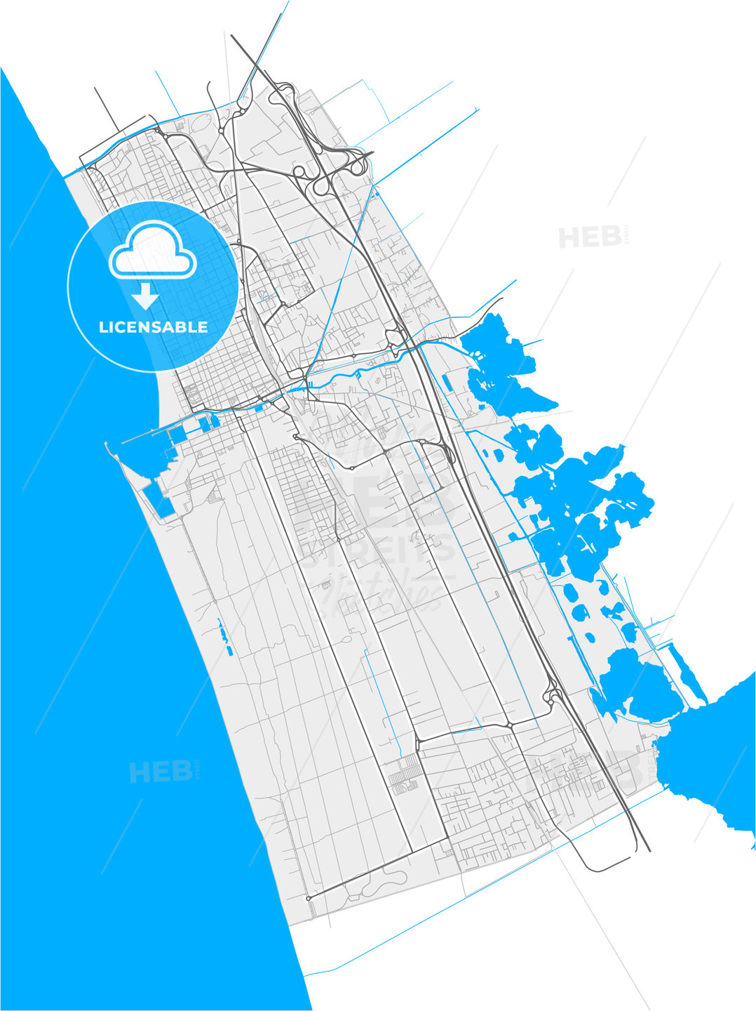 Viareggio, Tuscany, Italy, high quality vector map